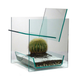 Illustration for article titled The Least Uncomfortable Way To Sit On a Cactus